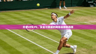 天使VPN PC，安全与便捷的网络连接新选择