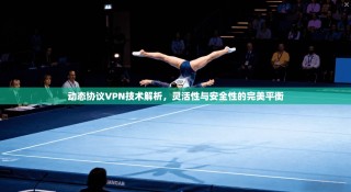 动态协议VPN技术解析，灵活性与安全性的完美平衡