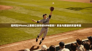 如何在iPhone上查看已保存的VPN密码？安全与便捷的双重考量