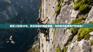 搬瓦工机场VPN，稳定高速的网络通道，为何成为全球用户的选择？