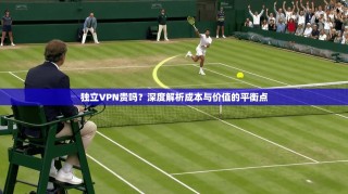 独立VPN贵吗？深度解析成本与价值的平衡点