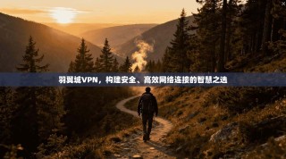 羽翼城VPN，构建安全、高效网络连接的智慧之选