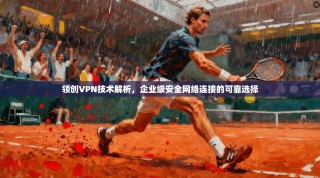 领创VPN技术解析，企业级安全网络连接的可靠选择