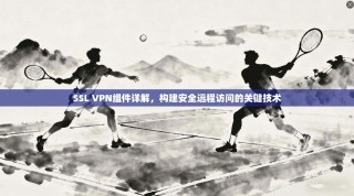SSL VPN组件详解，构建安全远程访问的关键技术