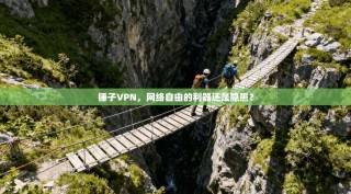 锤子VPN，网络自由的利器还是隐患？