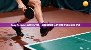 EasyConnect与北航VPN，高校网络接入的便捷之选与安全之道