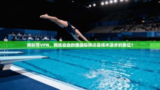 蝌蚪哥VPN，网络自由的便捷陷阱还是技术进步的象征？