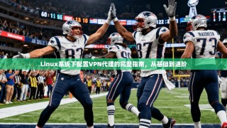 Linux系统下配置VPN代理的完整指南，从基础到进阶