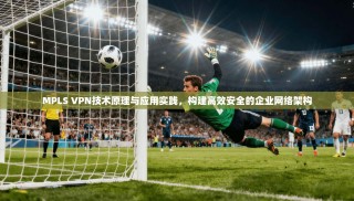 MPLS VPN技术原理与应用实践，构建高效安全的企业网络架构