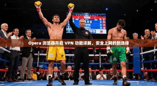 Opera 浏览器开启 VPN 功能详解，安全上网的新选择