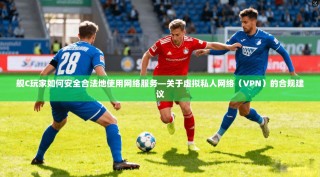 舰C玩家如何安全合法地使用网络服务—关于虚拟私人网络（VPN）的合规建议