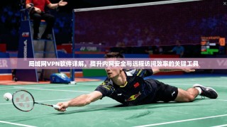 局域网VPN软件详解，提升内网安全与远程访问效率的关键工具