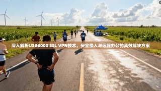 深入解析USG6000 SSL VPN技术，安全接入与远程办公的高效解决方案