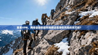 鲸鱼VPN，网络自由的隐形翅膀还是潜在风险的双刃剑？