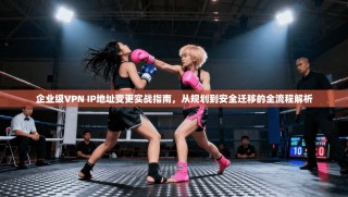 企业级VPN IP地址变更实战指南，从规划到安全迁移的全流程解析
