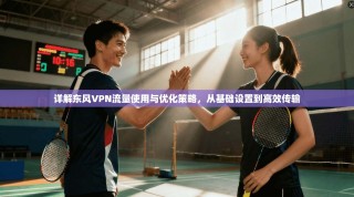 详解东风VPN流量使用与优化策略，从基础设置到高效传输