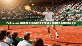 PVZ Heroes 游戏玩家如何通过合理使用 VPN 提升联机体验与隐私安全