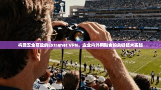 构建安全高效的Extranet VPN，企业内外网融合的关键技术实践