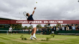 FreeVpNSS VPN使用指南，安全上网的入门教程
