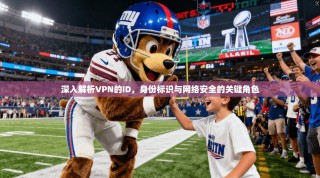 深入解析VPN的ID，身份标识与网络安全的关键角色