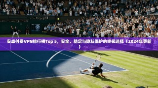 安卓付费VPN排行榜Top 5，安全、稳定与隐私保护的终极选择（2024年更新）