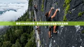 番茄VPN如何使用？新手必读的网络配置与安全指南