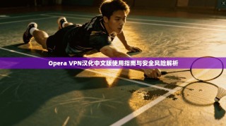 Opera VPN汉化中文版使用指南与安全风险解析