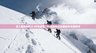 深入解析MPLS-VPN设备，构建高效企业网络的关键技术