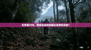 无界通VPN，网络自由的利器还是潜在风险？