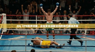 SSL VPN服务详解，企业安全远程访问的现代解决方案