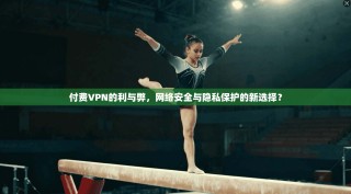 付费VPN的利与弊，网络安全与隐私保护的新选择？