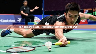 深入解析VPN.ufl，校园网络访问的便捷与安全之道
