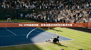 SSL VPN连接详解，安全远程访问的现代解决方案