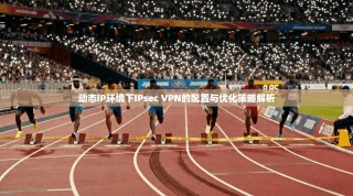 动态IP环境下IPsec VPN的配置与优化策略解析
