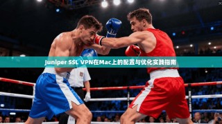 Juniper SSL VPN在Mac上的配置与优化实践指南