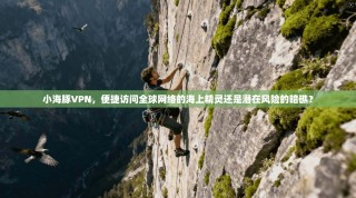 小海豚VPN，便捷访问全球网络的海上精灵还是潜在风险的暗礁？