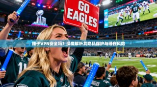 锤子VPN安全吗？深度解析其隐私保护与潜在风险