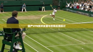 国产VPN技术发展与合规应用探讨