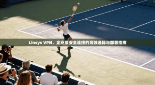 Linsys VPN，企业级安全连接的高效选择与部署指南