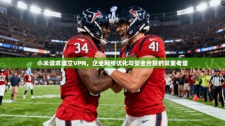 小米请求建立VPN，企业网络优化与安全合规的双重考量