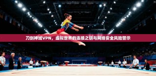 刀剑神域VPN，虚拟世界的连接之钥与网络安全风险警示