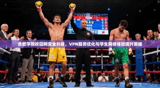 合肥学院校园网安全升级，VPN服务优化与学生网络体验提升策略