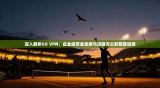 深入解析CO VPN，企业级安全连接与远程办公的智能选择