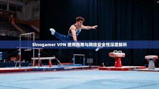 Sinogamer VPN 使用指南与网络安全性深度解析