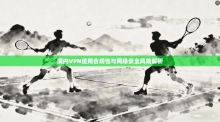 境内VPN使用合规性与网络安全风险解析