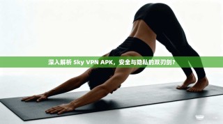 深入解析 Sky VPN APK，安全与隐私的双刃剑？