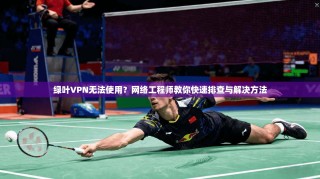 绿叶VPN无法使用？网络工程师教你快速排查与解决方法