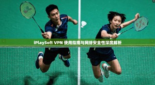 iPlaySoft VPN 使用指南与网络安全性深度解析