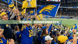 TLS加密VPN，现代网络安全的隐形守护者