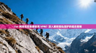 Tor 网络是否需要使用 VPN？深入解析隐私保护的组合策略